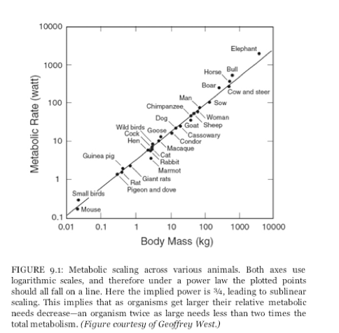 Screen Shot 2016-07-10 at 8.31.36 AM