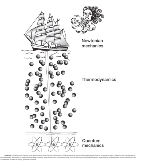 screen-shot-2016-11-20-at-8-09-39-am