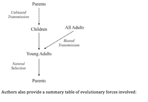 screen-shot-2017-02-12-at-9-11-58-am