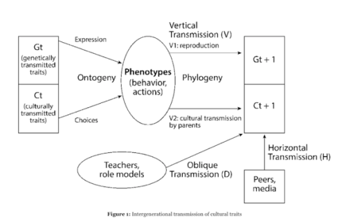 Screen Shot 2017-04-02 at 1.14.00 PM
