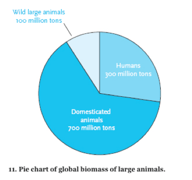 Screen Shot 2017-06-11 at 8.05.22 AM
