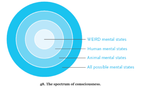 Screen Shot 2017-06-11 at 8.18.30 AM