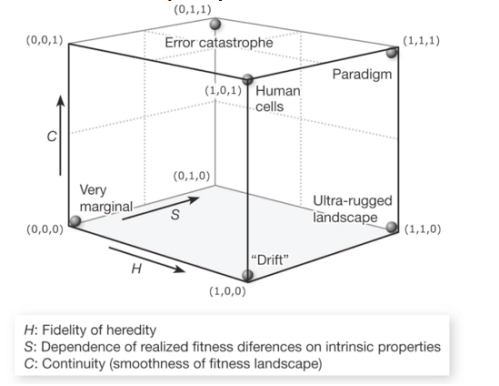 Screen Shot 2017-07-30 at 4.59.05 PM