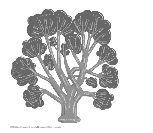 Screen Shot 2017-07-30 at 4.59.26 PM