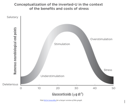 Screen Shot 2017-08-27 at 12.08.14 PM