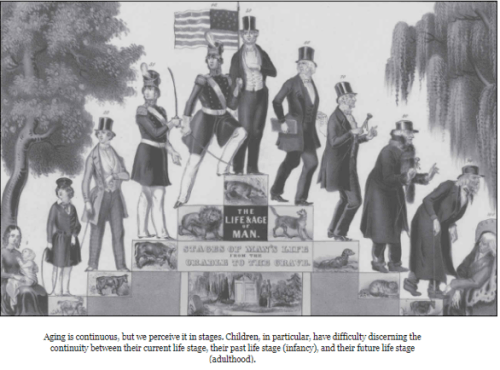 Screen Shot 2017-12-03 at 9.25.54 AM