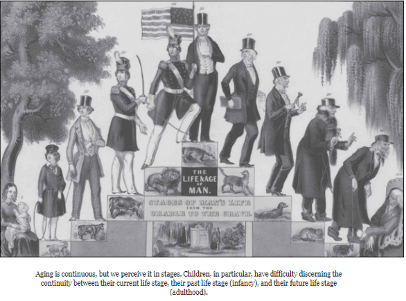 Screen Shot 2017-12-03 at 9.25.54 AM