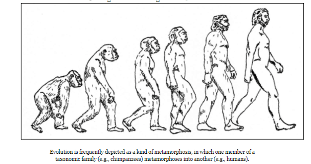 Screen Shot 2017-12-03 at 9.31.25 AM