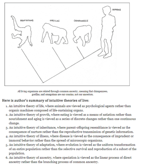 Screen Shot 2017-12-03 at 9.31.34 AM