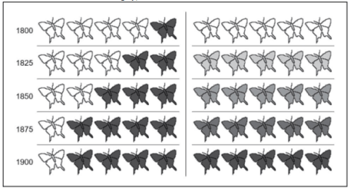 Screen Shot 2017-12-03 at 9.53.33 AM