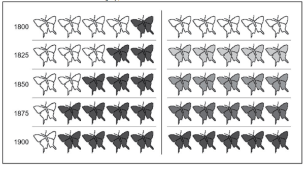 Screen Shot 2017-12-03 at 9.53.33 AM