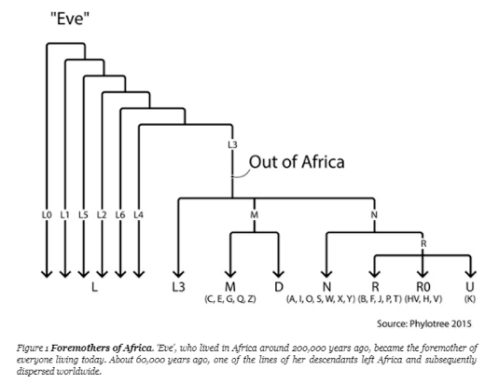 Screen Shot 2018-01-07 at 8.39.30 AM