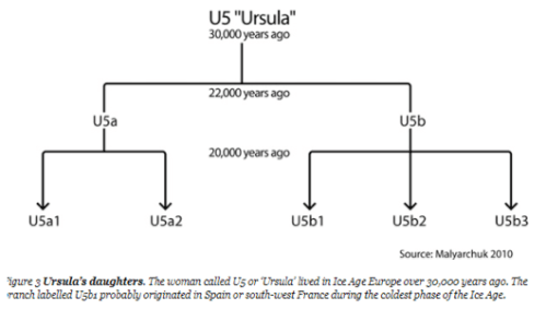 Screen Shot 2018-01-07 at 8.39.45 AM