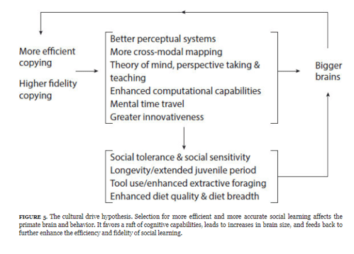 Screen Shot 2018-01-14 at 2.13.33 PM