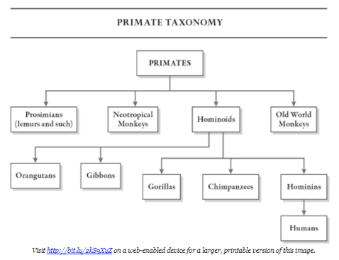 Screen Shot 2018-02-04 at 10.33.43 AM