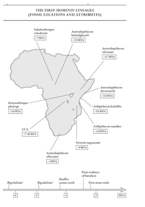 Screen Shot 2018-02-04 at 10.34.02 AM