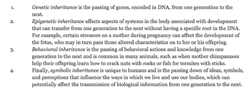 Screen Shot 2018-02-04 at 10.41.39 AM