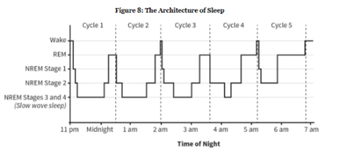 Screen Shot 2018-02-18 at 7.52.35 AM