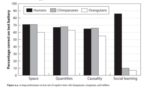 Screen Shot 2018-04-22 at 9.09.35 AM