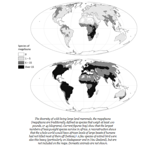 Screen Shot 2018-04-29 at 1.36.38 PM