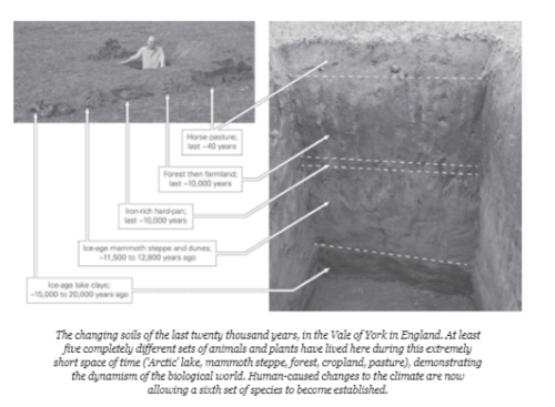 Screen Shot 2018-04-29 at 1.36.48 PM