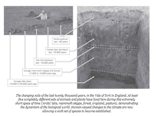 Screen Shot 2018-04-29 at 1.36.48 PM