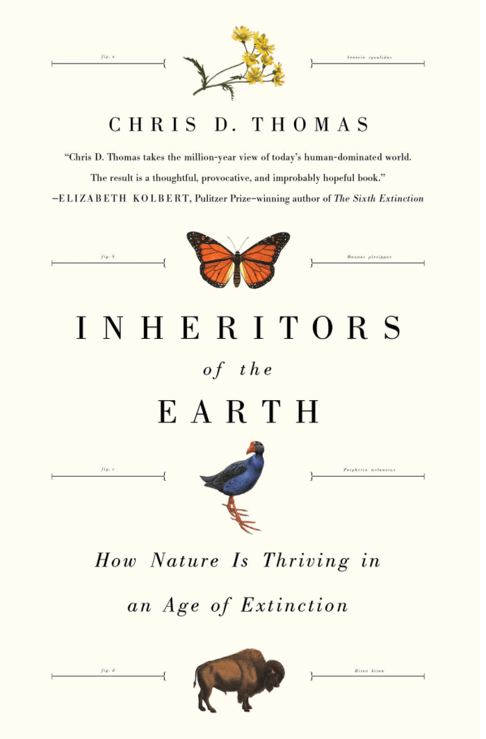 Screen Shot 2018-04-29 at 1.38.13 PM