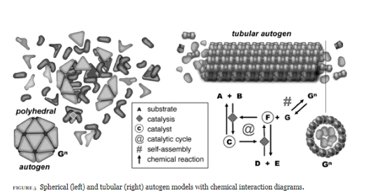 Screen Shot 2018-07-15 at 12.05.31 PM