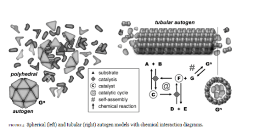 Screen Shot 2018-07-15 at 12.05.31 PM