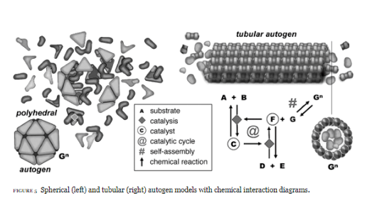 Screen Shot 2018-07-15 at 12.05.31 PM