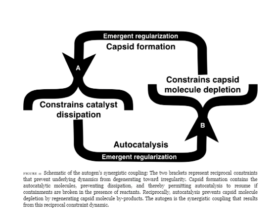 Screen Shot 2018-07-15 at 12.05.38 PM