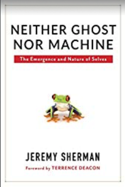 Screen Shot 2018-07-15 at 12.18.22 PM