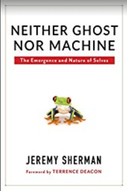 Screen Shot 2018-07-15 at 12.18.22 PM