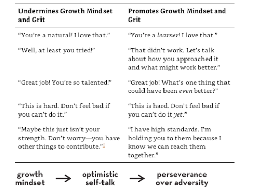 Screen Shot 2018-12-15 at 1.15.07 PM