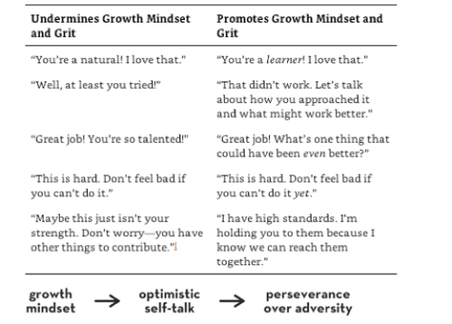 Screen Shot 2018-12-15 at 1.15.07 PM