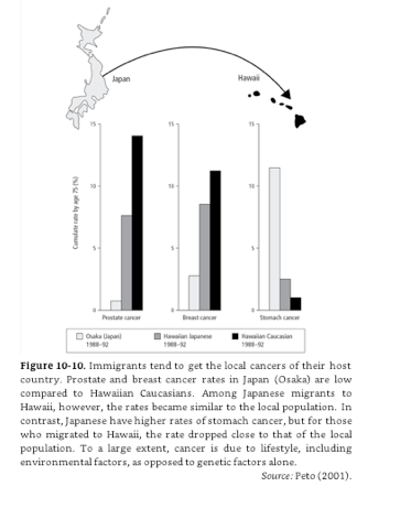 Screen Shot 2018-12-29 at 8.38.17 AM