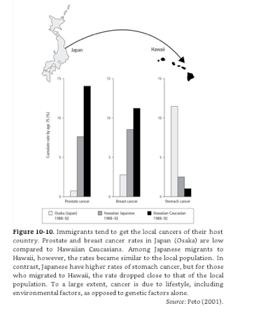 Screen Shot 2018-12-29 at 8.38.17 AM