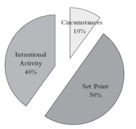 screen shot 2019-01-05 at 3.11.47 pm