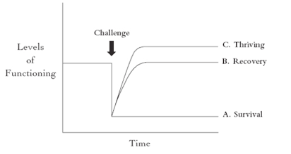 screen shot 2019-01-05 at 3.11.59 pm