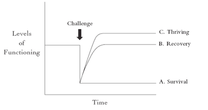 screen shot 2019-01-05 at 3.11.59 pm