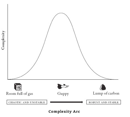 screen shot 2019-01-12 at 2.33.48 pm