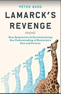 Screen Shot 2019-02-16 at 4.23.07 PM