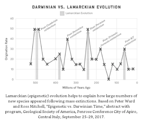 Screen Shot 2019-02-16 at 4.23.37 PM