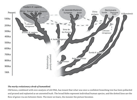 Screen Shot 2019-05-05 at 8.32.31 AM