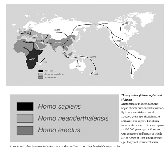 Screen Shot 2019-05-05 at 8.32.42 AM