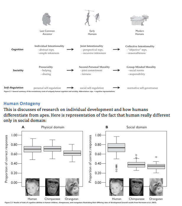 Screen Shot 2019-06-02 at 8.54.46 AM