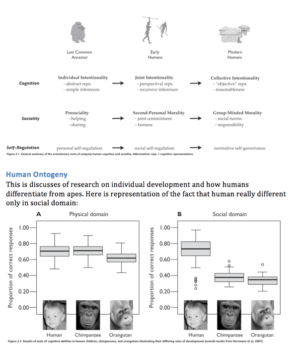 Screen Shot 2019-06-02 at 8.54.46 AM