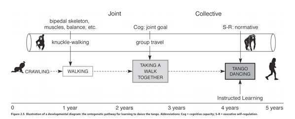 Screen Shot 2019-06-02 at 8.55.05 AM