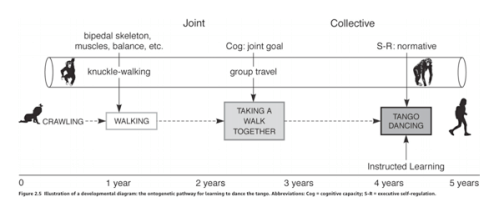 Screen Shot 2019-06-02 at 8.55.05 AM