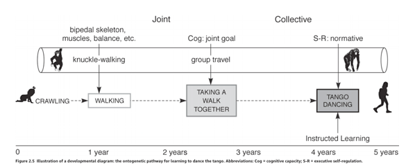 Screen Shot 2019-06-02 at 8.55.05 AM